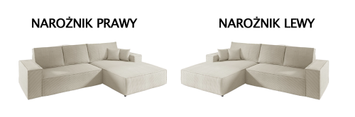 NAROZNIK PRAWY LEWY .PNG