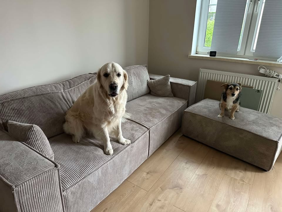 Kanapa NOVU10 w tkaninie sztruksowej - zdjęcie u klienta petfriendly